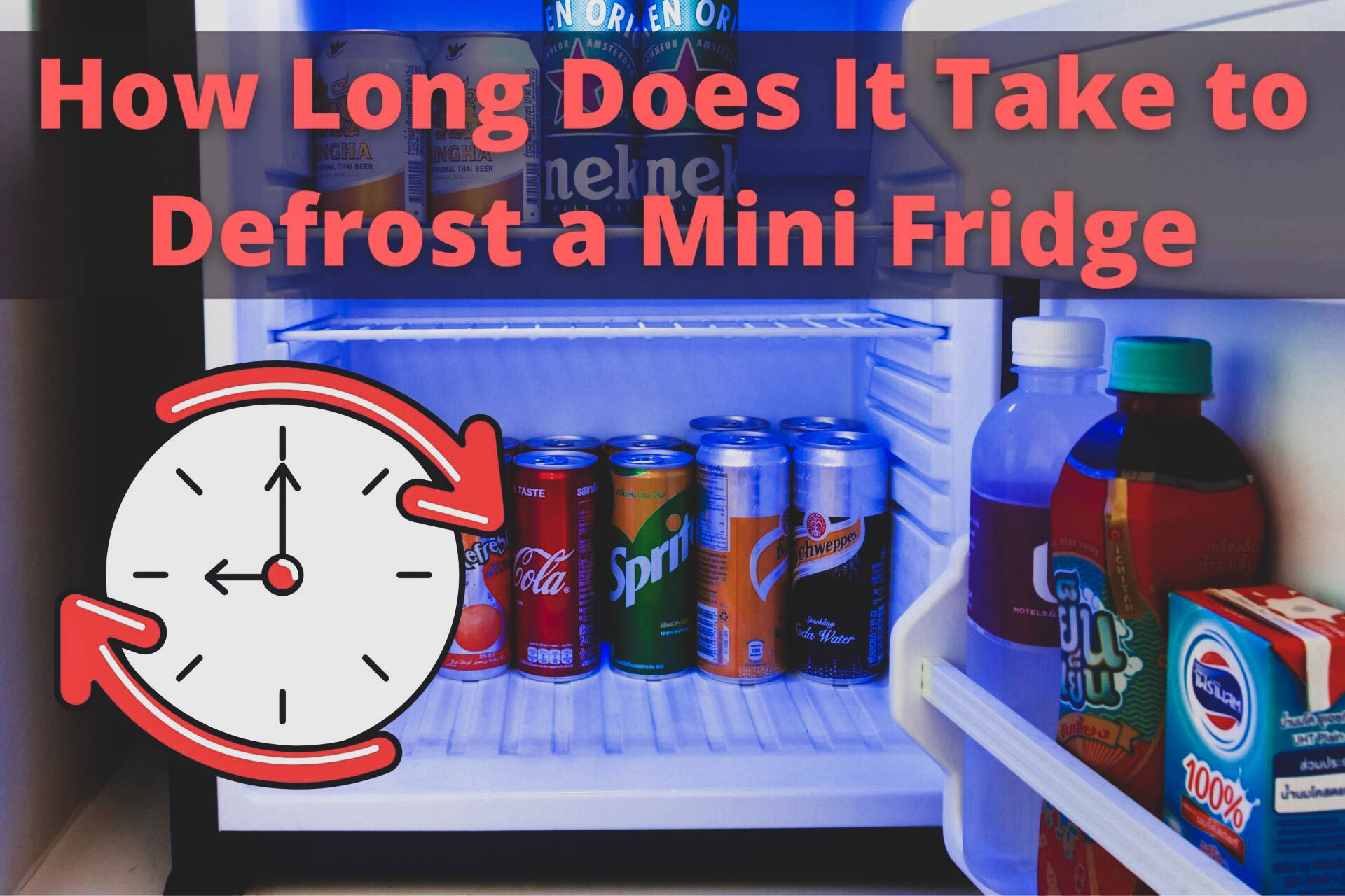 Defrost a Mini Fridge 