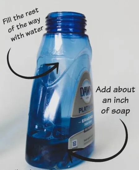 Dish soap and water