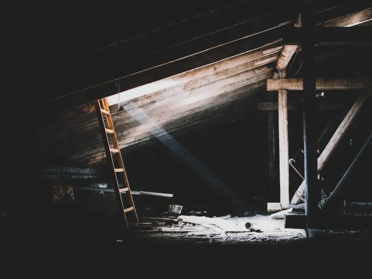 attic ladder