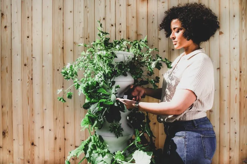 10+ Best Gardening Tips for Successful Flower Garden Design