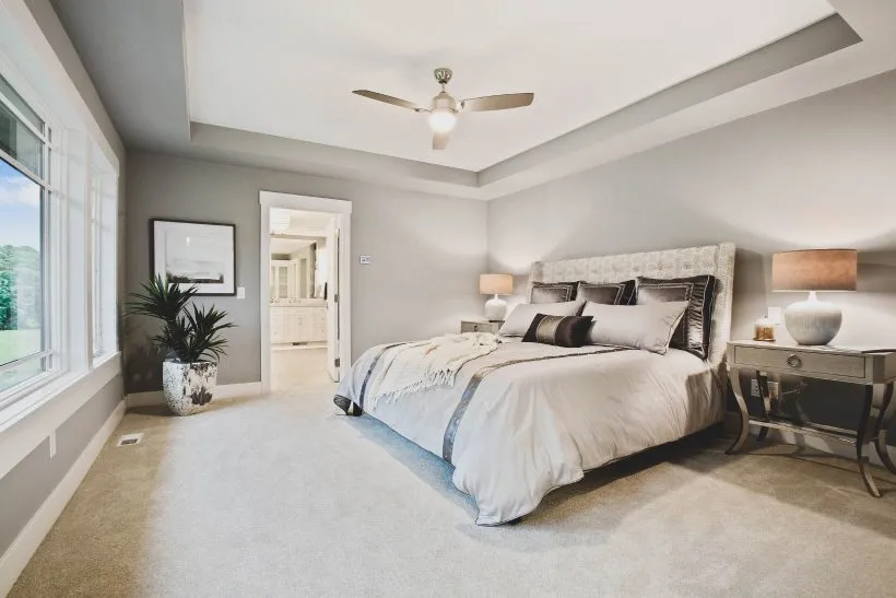 The Tray Ceilings
