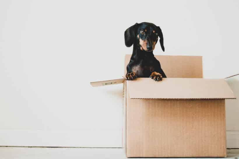 10+ Best Packing and Moving Tips