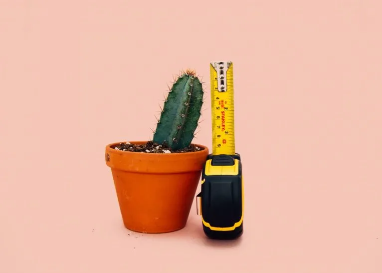 Tape Measure
