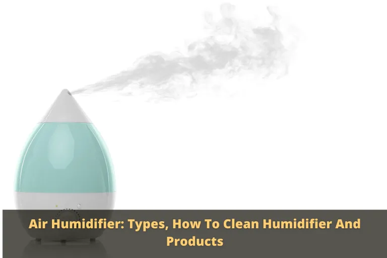 Air Humidifier: Types, How To Clean Humidifier And Products