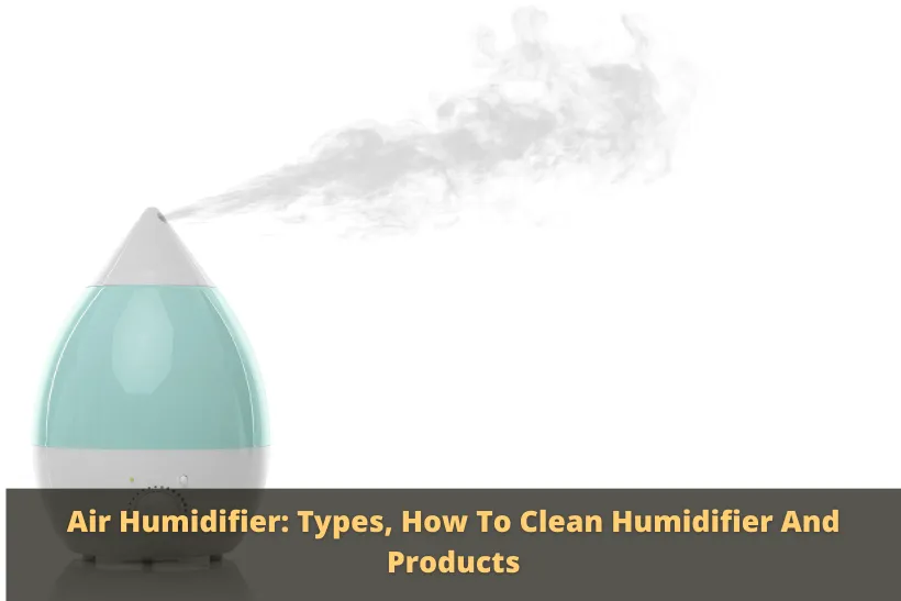 Air Humidifier: Types, How To Clean Humidifier And Products