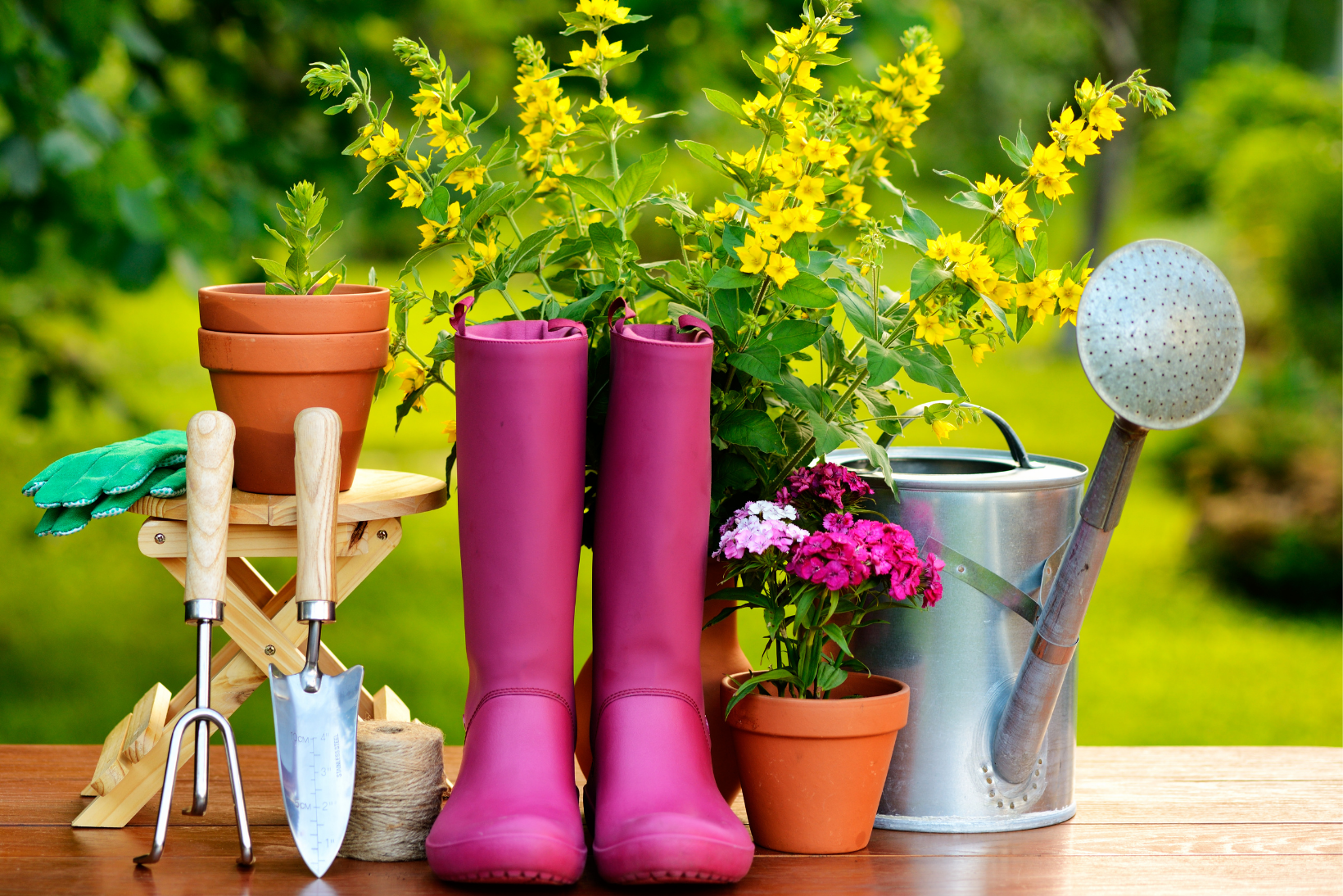 Essential Gardening Tools For A Beautiful Garden