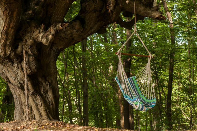 Hammock Swing Chair