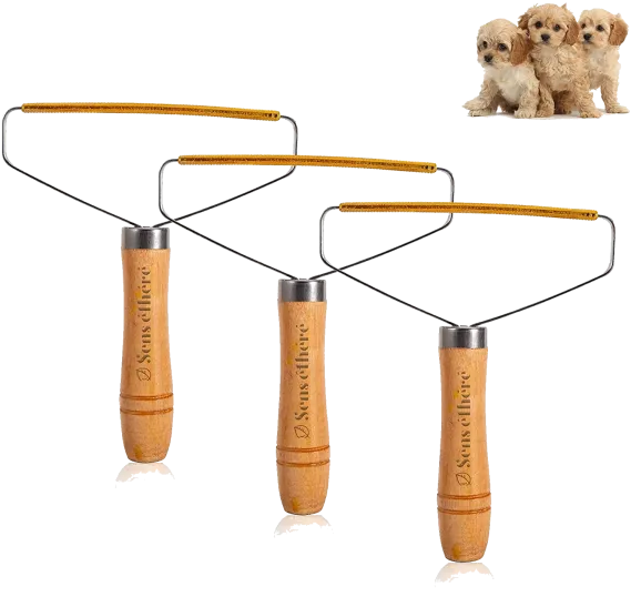 Capture Total Care Kit for Carpet