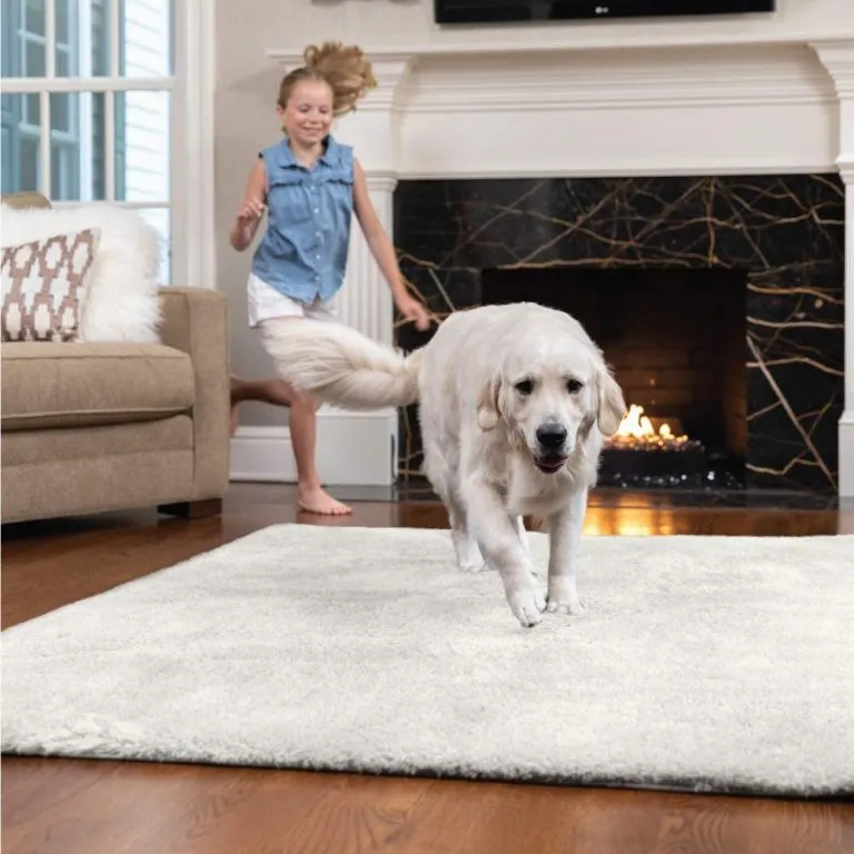 Valuable Instructions On Home Depot Carpet Selection