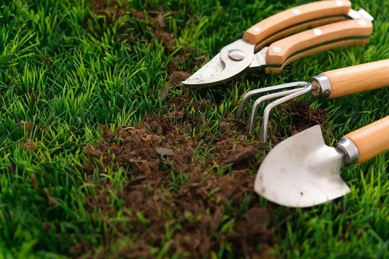 Every Gardener Ought To Have The Following Gardening Hand Tools