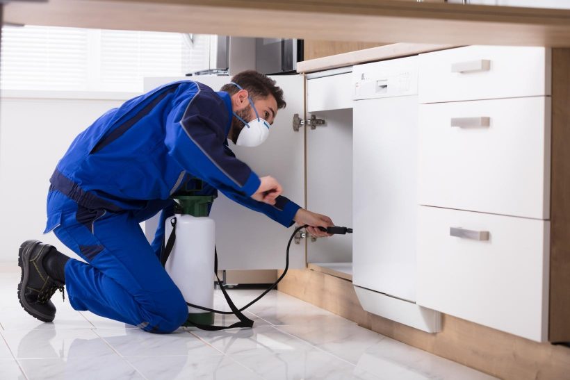 What To Do Before And After Pest Control Services Arrive At Your Home