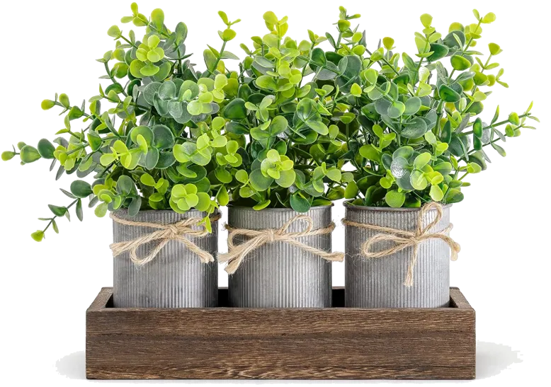 Decor Wooden Tray With Simulated Eucalyptus And 3 Galvanized Metal Pots By Dahey Decorative Decor For A Coffee Table And Dining Room In A Farmhouse Style Living Room, Kitchen, And Bath In Brown