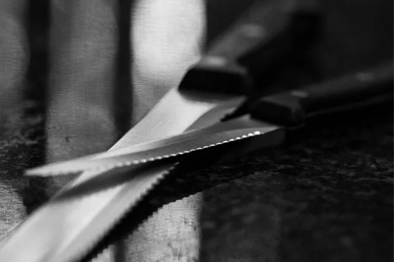 Serrated Utility Knife Uses