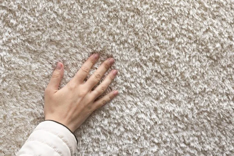 Best IndoorOutdoor Carpet