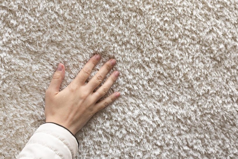 Best IndoorOutdoor Carpet