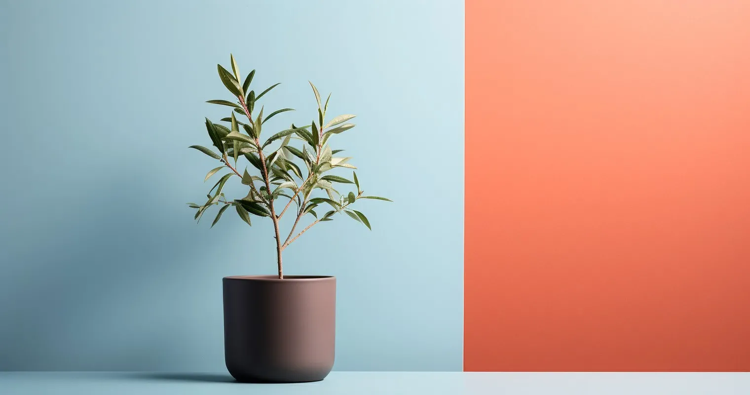 Adjusting Care Routines Based On Seasons