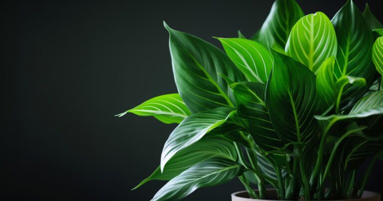 How To Kill Fruit Flies In Houseplants