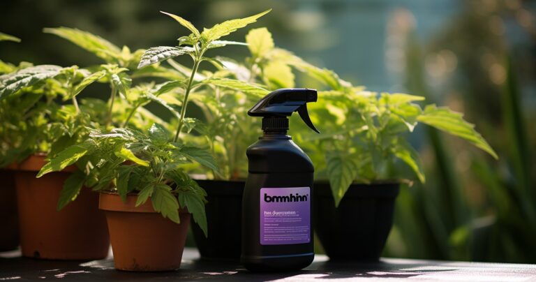 Neem Oil Spray Bottle