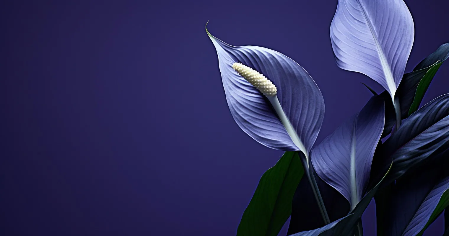 What Houseplants Can Grow In Water